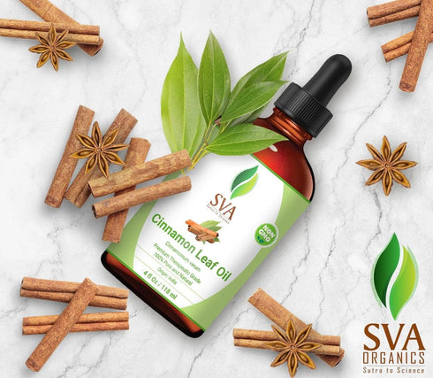 SVA Cinnamon Leaf Oil | 4 Oz Premium Essential Oil with Dropper for Aromatherapy, Skin & Hair Care