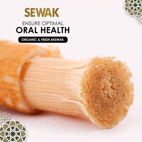 Natural Miswak, All Natural Traditional Tooth Brush for Oral Health, Hygiene, Fresh Breath, Vacuum Sealed (Pack of 12)