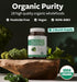 USDA Organic Greens Powder (120 Tablets) - Complete Superfood Supplement with 28 Fruits & Vegetables for Immune Support