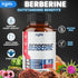 Berberine Supplement with Ceylon, Milk Thistle, Turmeric, Elderberry & More - 60 Counts for Immune, Cardiovascular &