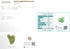 STARR-GIA Certified 100% Xiuyan Jade Gua Sha Massage Tool, Face Massager for Puffiness and Blood Flow