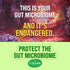 Culturelle Immune Defense Probiotic with Vitamin C, D, Zinc + Elderberry, 30 Count, Non-GMO for Kids 3+