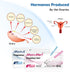 MomMed (HCG25-LH100), 25 100 125 Ovulation Predictor Kit with Pregnancy Test and Ovulation Test Strips, Easy to Use