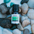 Stress Easy Essential Oil Blend by Revive Essential Oils, 100% Pure Therapeutic Grade for Diffuser and Aromatherapy