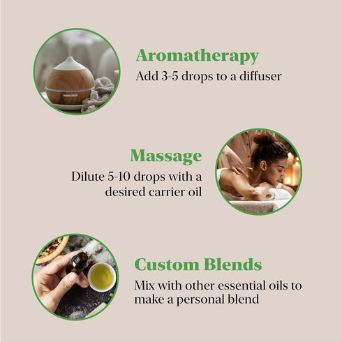Majestic Pure USDA Organic Bergamot Essential Oil for Diffuser, 100% Organic for Skin and Aromatherapy