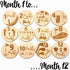 SM Design Set 12 Baby Milestone Markers of + Birth Announcement Sign | Monthly Baby Photo Props | First Year Milestones