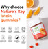 Nature's Key Lutein Gummies 12mg with Zeaxanthin & Vitamin A - Eye Health and Brain Function Supplement - 60Ct