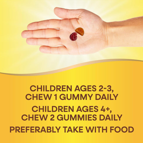 Gummy 2+, Immune 60 Gummies Natures Way Alive! Kids Zero Sugar Multivitamins, for Kids Ages Supports Bone, Eye