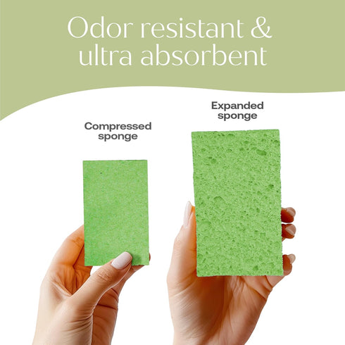 Plant-Based Pop-Up Sponges, Pack of 12 Cellulose Sponges, Highly Absorbent, Non Scratch