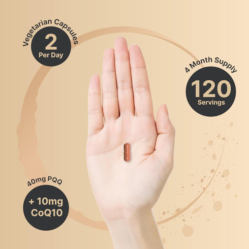 NatureBell PQQ 40mg Per Serving with CoQ10, 240 Capsules, Active Pyrroloquinoline Quinone, Highly Bioavailable ZenPQQ+