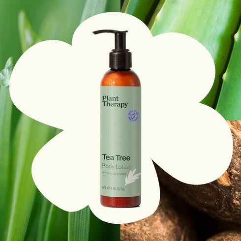 Plant Therapy 8 oz Tea Tree Body Lotion with Aloe and Shea to Hydrate and Nourish Skin with Botanical Ingredients