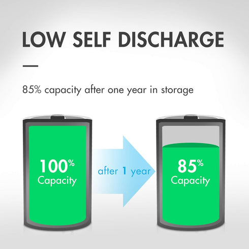 Tenergy Centura AAA NIMH Rechargeable Battery, 800mAh Low Self-Discharge, 12 Pack