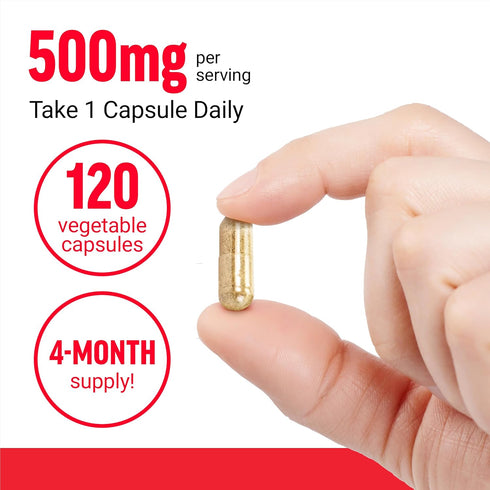 FORCE FACTOR Boswellia Extract Capsules - Immune Support Supplement and Joint Health Supplement for Women and Men, Made