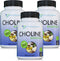 DOCTOR RECOMMENDED SUPPLEMENTS Premium Choline - 500 mg - 120 Veggie Capsules for Cognitive Health, Memory & More - 3
