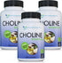 DOCTOR RECOMMENDED SUPPLEMENTS Premium Choline - 500 mg - 120 Veggie Capsules for Cognitive Health, Memory & More - 3