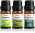 Floral Essential Oil Set, Premium Pure & Natural Aromatherapy Essential Oils for