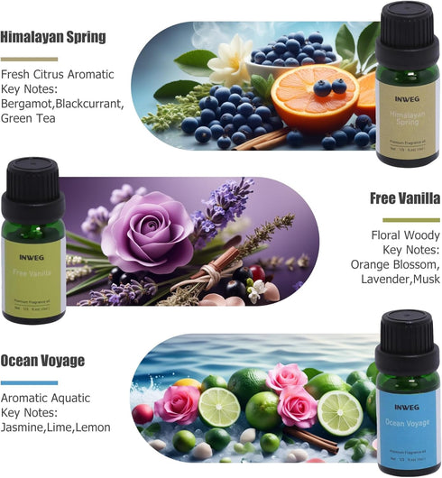 Set 6 10ML Gift of Premium Fragrance Oils - Fragrance Oils for Perfume, Soap & Candle Making Scents, Wild Rose