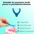 Molar Floss Stick, Convenient for Cleaning Back Teeth, Floss Sticks, Flosser Picks, Suitable for Gifting Elders or