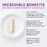 Optimum Magnesium Glycinate Capsules - Chelated Magnesium for Maximum Absorption, 240 Vegan Capsules