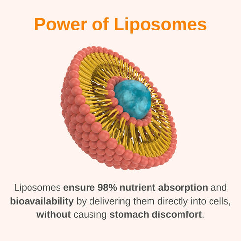 Liposomal Women's 50+ Liquid Multivitamin Drops, Non-GMO, 30 Day Supply in Natural Strawberry Flavor
