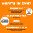 ZYN Turmeric Powder Electrolyte Drink Mix, 32 Servings Strawberry Yuzu, Healthy Hydration with Vitamin C & Zinc