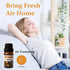 SCENT SORCERESS Sets 6 6x10ML Essential Oils - Premium Fragrance Oils for Diffusers, Candles & Aromatherapy, Calm Mind
