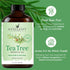 Set: (2 4 Oz) 100% Handcraft Blends Pure & Fresh Peppermint and Tea Tree Essential Oils x Fl Pure & Natural