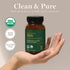 Global Healing Center Iron Supplement for Women and Men, Blood Builder Vitamin Capsules with Curry Plant Extract, 60