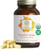 PURE SYNERGY SuperPure Ginger Extract, Organic Ginger Root Capsules for Digestion and Joint Support (60 Capsules)