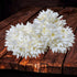Traditional Indian Hair Accessories - White Gajra Artificial Flower Jewelry Veni Tiara for Women Party Wear