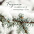 Thymes Frasier Fir Bar Soap, Pine Tree Scented Hand and Body Soap, 5.5 oz
