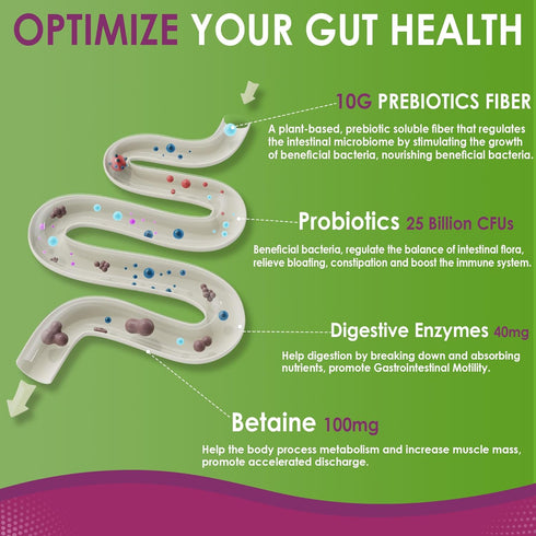 Fiber Gummies 10g Prebiotic Fiber Supplement, Sugar Free, Probiotics & 100mg Betaine for Digestive Health, 120ct