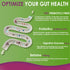 Fiber Gummies 10g Prebiotic Fiber Supplement, Sugar Free, Probiotics & 100mg Betaine for Digestive Health, 120ct