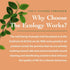 The Ecology Works Plant-Based Dog & Cat Allergy Spray, Dander Remover & Dust Mite Waste Reducer