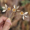 Unicra Wedding Hair Pins Flower Hair Set, Decorative Bridal Accessories for Women Pack of 3