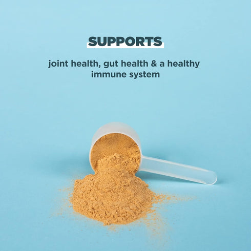Ancient Nutrition Bone Broth Protein Powder - Turmeric, 20g Protein Per Serving, 20 Serving Tub, Gluten Free