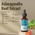HERBAMAMA Ashwagandha Liquid Drops - Organic Ashwagandha Root Tincture, Vegan Liquid Complex, 2 fl oz