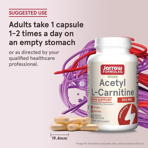 Jarrow Formulas Acetyl L-Carnitine 500 mg, Dietary Supplement for Brain Health & Antioxidants, 60 Veggie Capsules