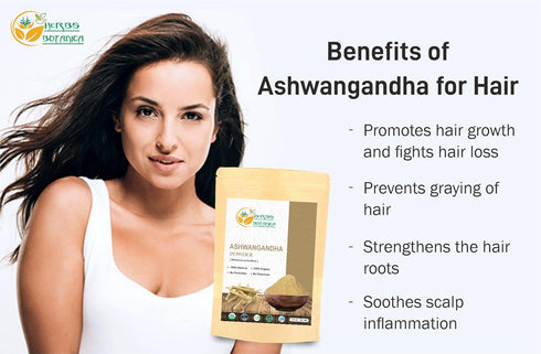 Organic Ashwagandha Root Powder, Ayurvedic Herbal Supplement, 5.3 oz for Support and Strength