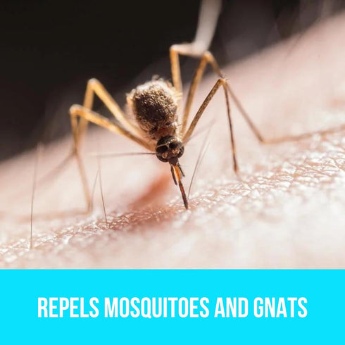 BUGGINS Original Insect Repellent, DEET Free, Non-Greasy, 6 oz Continuous Spray Can for Mosquitoes & Gnats