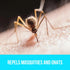 BUGGINS Original Insect Repellent, DEET Free, Non-Greasy, 6 oz Continuous Spray Can for Mosquitoes & Gnats