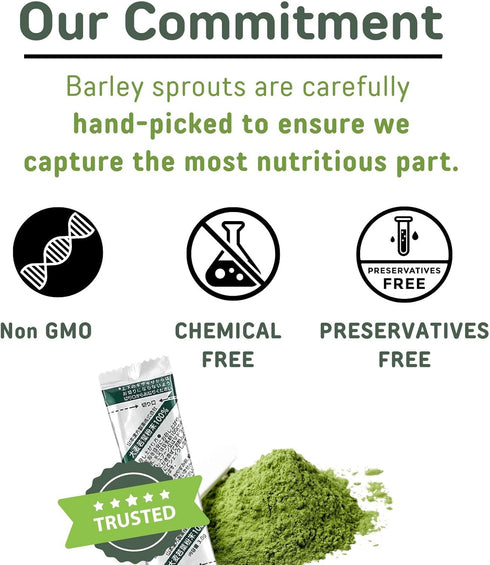 Visit the Store 7 Count YAMAKAN Green Juice with Barley Grass Powder, Super Greens Powder Rich in Daily Nutrients