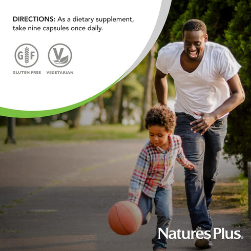 NaturesPlus Source of Life GOLD Multivitamin, 90 Vegetarian Capsules, Immune Support, Gluten Free
