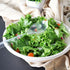 Set (12), 10' 6.5' HD Disposable Serving Utensils Spoons, Tongs, Clear