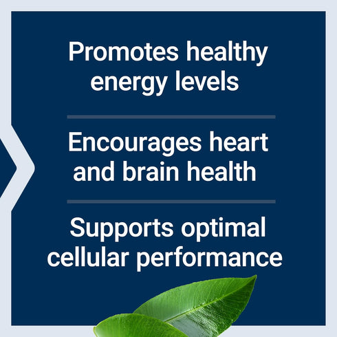 Life Extension L-Carnitine, 500 mg Energy Supplement, Memory Support, 30 Capsules