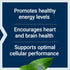 Life Extension L-Carnitine, 500 mg Energy Supplement, Memory Support, 30 Capsules