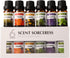 SCENT SORCERESS Essential Oils Sets - 6 Premium Fragrance Oils for Diffusers, Candles &