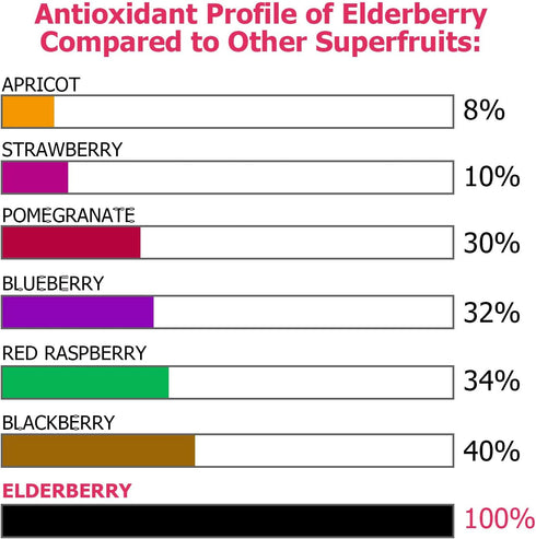 ECO-TASTE Elderberry Capsules with Zinc & Vitamin C - 120 Veggie Caps for Immune & Skin Health