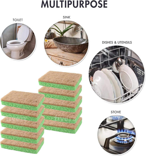 SCRUBIT Natural Sponges, 10 Pack Biodegradable Cellulose and Coconut Kitchen Sponges, Eco Friendly Non Toxic