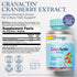 SOLARAY CranActin Cranberry Extract 400 mg, 120 Serv, 120 VegCaps - Bladder Health Support